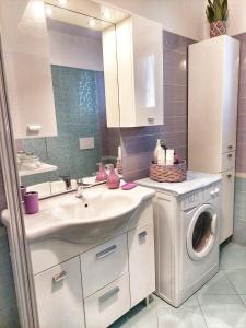 ein Badezimmer mit einem Waschbecken und einer Waschmaschine in der Unterkunft Casa Pepolina, zona tranquilla, piano terra con parcheggio in Malesco