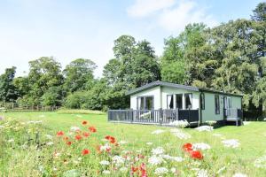 a small green cottage in a field of flowers at Snittlegarth Farm Lodges in Wigton