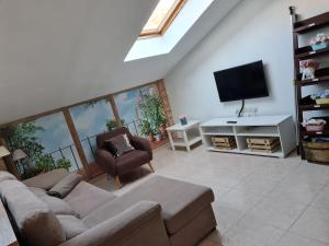 A television and/or entertainment centre at VTZ El Balcón de Rey Alfonso V