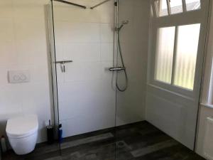 een badkamer met een toilet en een glazen douche bij 't stippie in Koewacht