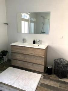 a bathroom with a sink and a mirror at 't stippie in Koewacht