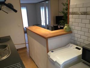 Kuchyňa alebo kuchynka v ubytovaní Studio fond de jardin + 11 fotografií
