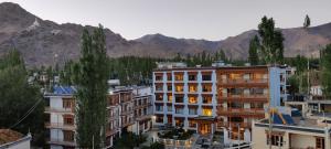 une ville avec des bâtiments et des montagnes en arrière-plan dans l'établissement The Gawaling ladakh, à Leh