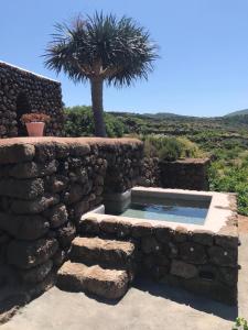 a stone wall with a plunge pool in front of a palm tree at Dammusi IL SERRALH -Pantelleria- in Pantelleria