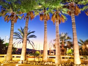een groep palmbomen op een parkeerplaats bij La Californie Views in Cannes
