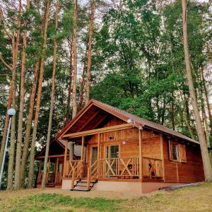 a small wooden cabin in the middle of a forest at Kujanki - domki z widokiem na jezioro in Zakrzewo