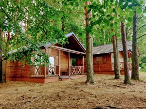 a log cabin in the middle of a forest at Kujanki - domki z widokiem na jezioro in Zakrzewo