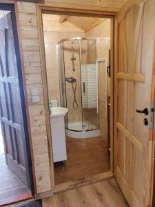 a bathroom with a shower and a toilet and a sink at Kujanki - domki z widokiem na jezioro in Zakrzewo