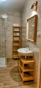 a bathroom with a sink and a shower at Kujanki - domki z widokiem na jezioro in Zakrzewo