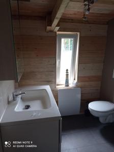 TellinにあるLe P'tit Nid : Mini loft pour 2 à 4 personnesのバスルーム(洗面台、トイレ付)、窓が備わります。