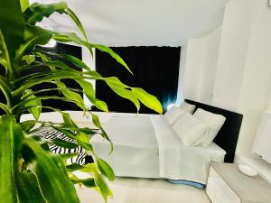 A seating area at Loft Terracina