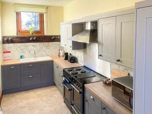 a kitchen with gray cabinets and a stove top oven at The Old Stables in Freethorpe