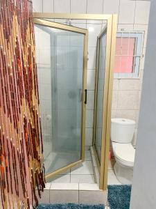 e bagno con doccia e servizi igienici. di Apartment at Trincity Central Road a Port-of-Spain