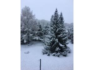 Ferienwohnung Thiel im Winter