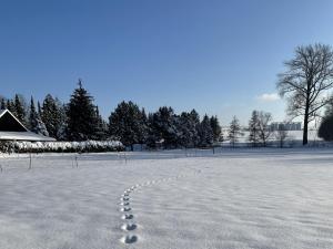Ferienwohnung Thiel im Winter