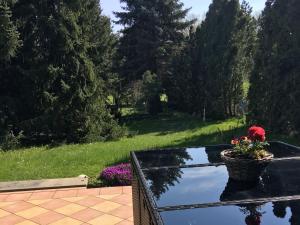 Ein Garten an der Unterkunft Ferienwohnung Thiel