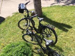 Radfahren an der Unterkunft Ferienwohnung Thiel oder in der Nähe
