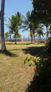un parque con palmeras, un banco y flores en apartamento de frente para o mar, en Vera Cruz de Itaparica