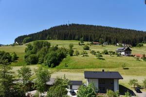 a house in the middle of a green hill at Appartement Vogelkoje Nummer 35 in Baiersbronn