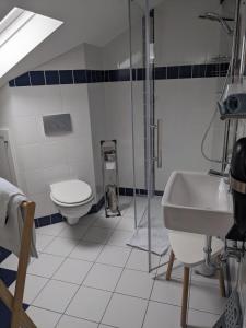 y baño con aseo, lavabo y ducha. en Urlaub im Kunstatelier, en Runkel