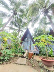 Zahrada ubytování Homestay Nam Hàm Luông