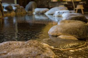 Θέα στο ποτάμι κοντά σε αυτό το ryokan