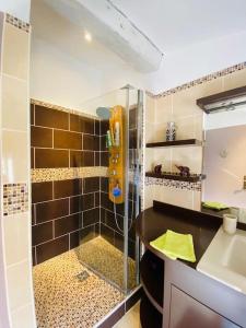 bagno con doccia e lavandino di Saint Estève maison authentique et charme assuré a Saint-Estève