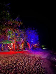 Foto dalla galleria di Summer Vibes Beach Front a Rasdhoo