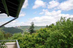 desde el balcón de una casa con árboles en Ferienwohnung "Harzer Wiesenberg", en Schulenberg im Oberharz