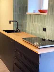 a kitchen with a sink and a counter top at Apartment im Wein- und Freizeitidyll Klöch in Klöch