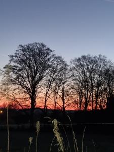 Fotografie z fotogalerie ubytování Le Maissin 1876 v destinaci Paliseul