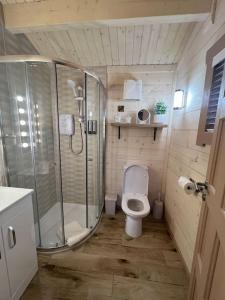 a small bathroom with a toilet and a shower at Dolmen Lodge. in Donegal