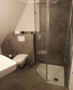 ein Bad mit einer Dusche, einem WC und einem Waschbecken in der Unterkunft Tetens Gasthof in Süderlügum