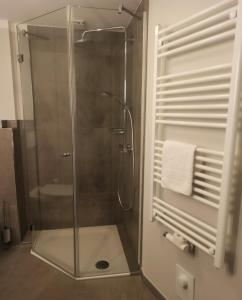 eine Dusche mit Glastür im Bad in der Unterkunft Tetens Gasthof in Süderlügum