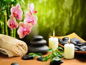 Spa und/oder Wellnesseinrichtungen in der Unterkunft Seyithan Palace Spa Hotel