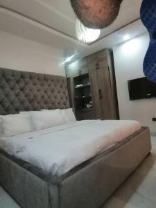 a bedroom with a large bed with a tufted headboard at Beautiful 2 bedroom in Ologolo in Lekki