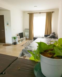 una sala de estar con una cama y una planta sobre una mesa en Depto Duplex en Tandil