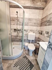 une salle de bain avec une douche, des toilettes et un lavabo dans l'établissement Natúr Vendégház, à Miercurea-Ciuc