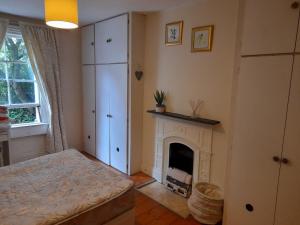 a bedroom with a fireplace and a bed in it at Annesley Park-Homestay AP in Dublin