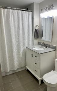 a bathroom with a sink and a toilet and a shower curtain at Lincoln Park Aparment with Backyard! in Chicago