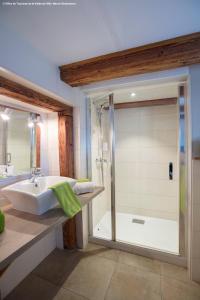 a bathroom with a shower and a sink at A l'ombre du verger in Breitenau