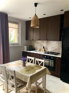 a kitchen with a table with chairs and a sink at Apartament Mickiewicza in Busko-Zdrój