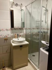a bathroom with a sink and a shower at Apartament Mickiewicza in Busko-Zdrój