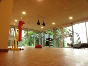 a gym with two boxing bags hanging in a room at Rotenberg PT Hotel in Wittlich