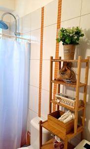 a bathroom with a toilet and a shelf with a plant at Krystal Apartment in Athens