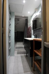 ein Bad mit einem Waschbecken und einer ebenerdigen Dusche in der Unterkunft appartement centre frontignan in Frontignan