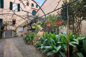 un jardin en face d'un bâtiment avec des plantes en pot dans l'établissement Casa Paola, à Levanto