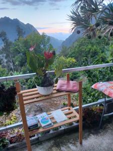 錫拉奧的住宿－KER L'ÎLET，长凳上挂着盆子和书