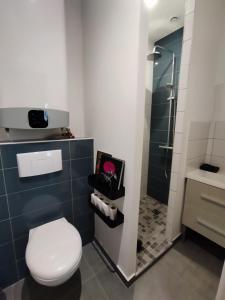 a bathroom with a toilet and a shower at La Belle Florentine in Saint-Florent-le-Vieil