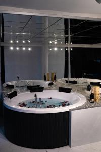 Photo de la galerie de l'établissement PRESIDENT APARTMANI - Spa apartman, Fenix apartman, Galerija apartman, à Šabac